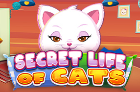 Secret Life Of Cats